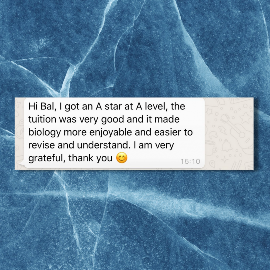 Feedback 6 8